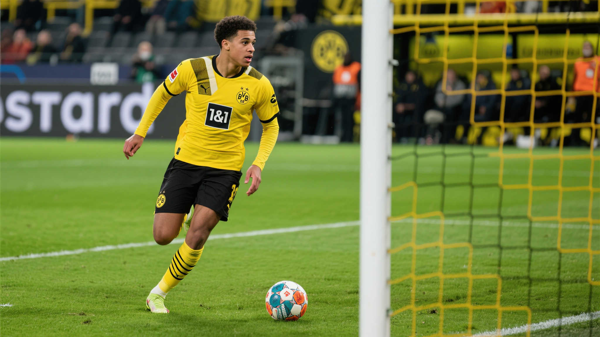 华体会体育介绍